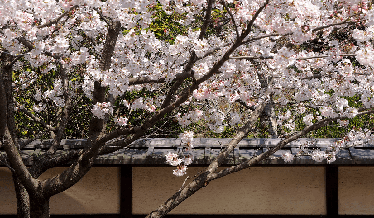 長谷別邸 GALLERY 10